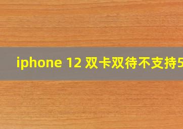 iphone 12 双卡双待不支持5g