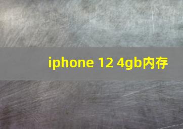 iphone 12 4gb内存