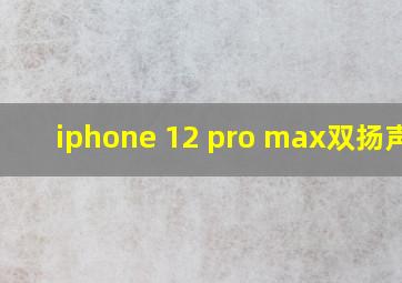 iphone 12 pro max双扬声器