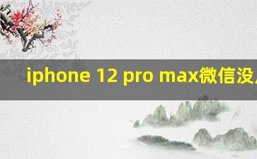 iphone 12 pro max微信没反应