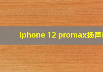 iphone 12 promax扬声器