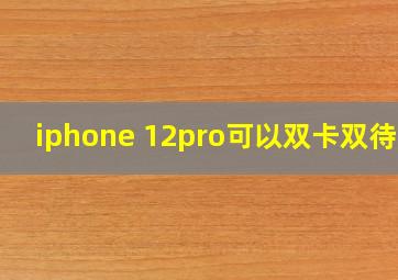 iphone 12pro可以双卡双待吗