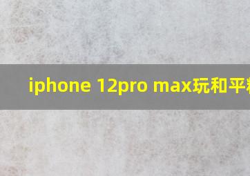 iphone 12pro max玩和平精英