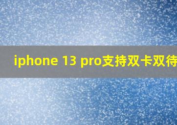 iphone 13 pro支持双卡双待吗