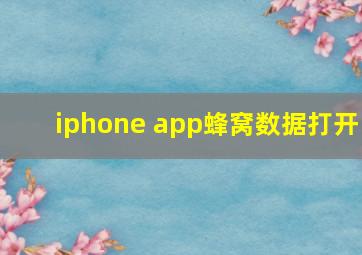 iphone app蜂窝数据打开