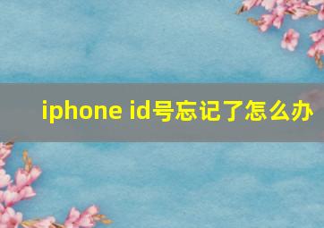 iphone id号忘记了怎么办