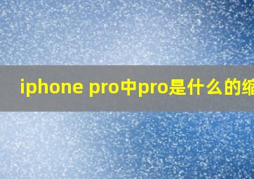 iphone pro中pro是什么的缩写