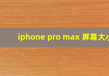 iphone pro max 屏幕大小