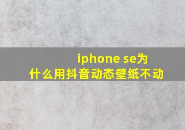 iphone se为什么用抖音动态壁纸不动