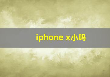 iphone x小吗