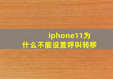 iphone11为什么不能设置呼叫转移