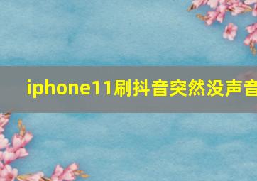 iphone11刷抖音突然没声音