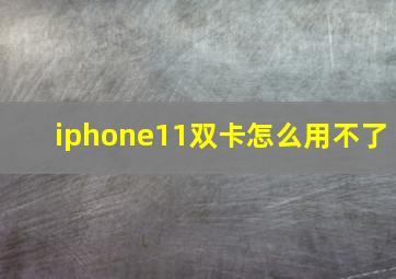 iphone11双卡怎么用不了