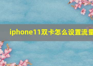 iphone11双卡怎么设置流量