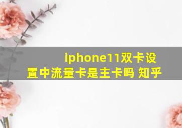 iphone11双卡设置中流量卡是主卡吗 知乎