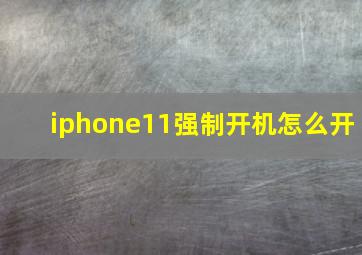 iphone11强制开机怎么开