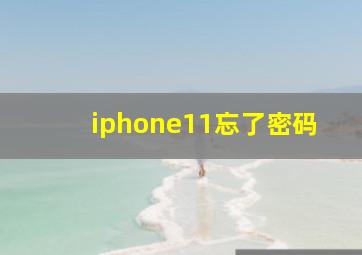 iphone11忘了密码