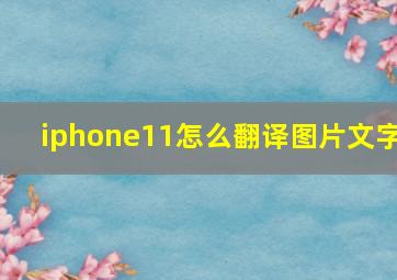 iphone11怎么翻译图片文字