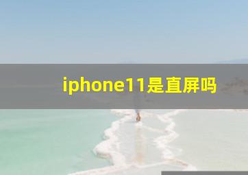 iphone11是直屏吗