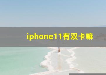 iphone11有双卡嘛