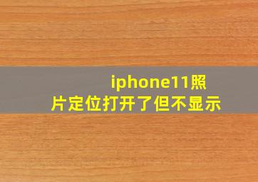 iphone11照片定位打开了但不显示