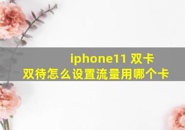 iphone11 双卡双待怎么设置流量用哪个卡