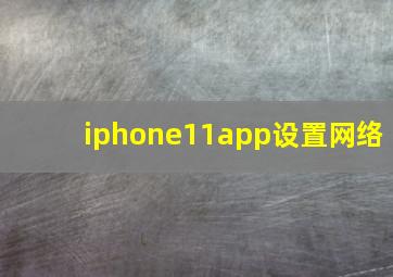 iphone11app设置网络