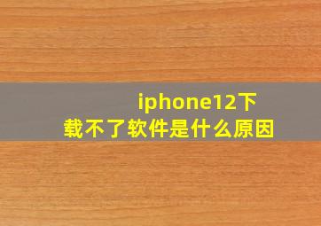 iphone12下载不了软件是什么原因