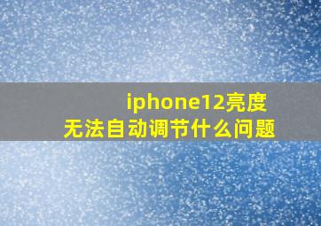 iphone12亮度无法自动调节什么问题