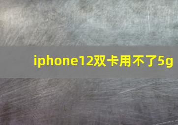 iphone12双卡用不了5g