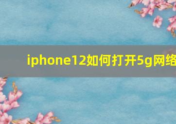 iphone12如何打开5g网络