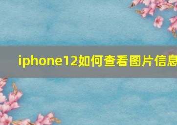 iphone12如何查看图片信息