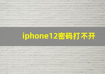 iphone12密码打不开