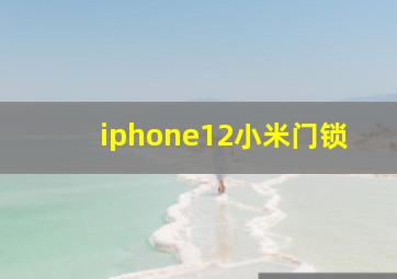 iphone12小米门锁