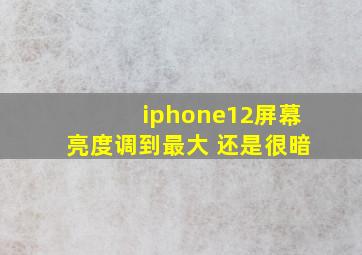 iphone12屏幕亮度调到最大 还是很暗