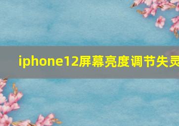 iphone12屏幕亮度调节失灵