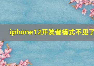 iphone12开发者模式不见了