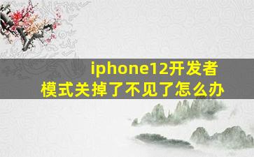 iphone12开发者模式关掉了不见了怎么办