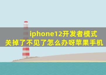 iphone12开发者模式关掉了不见了怎么办呀苹果手机