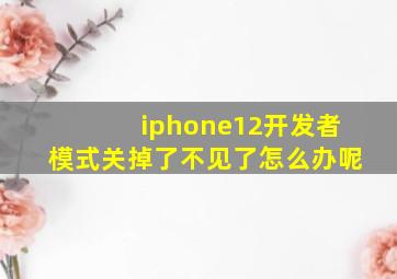 iphone12开发者模式关掉了不见了怎么办呢