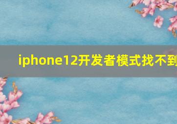 iphone12开发者模式找不到