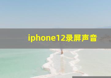 iphone12录屏声音