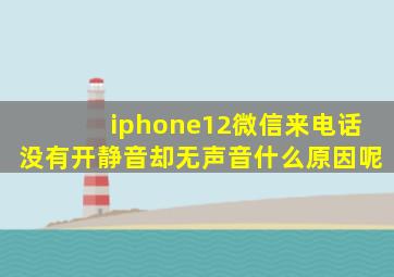 iphone12微信来电话没有开静音却无声音什么原因呢