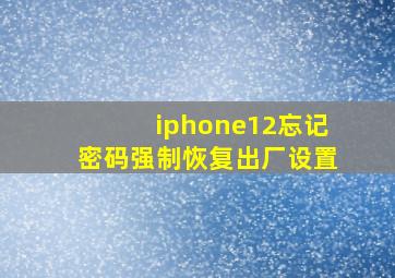 iphone12忘记密码强制恢复出厂设置