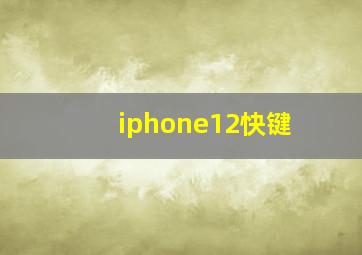 iphone12快键