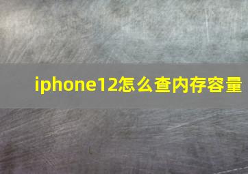 iphone12怎么查内存容量