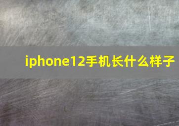 iphone12手机长什么样子