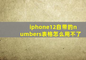 iphone12自带的numbers表格怎么用不了