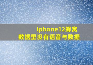 iphone12蜂窝数据里没有语音与数据