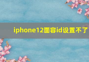 iphone12面容id设置不了